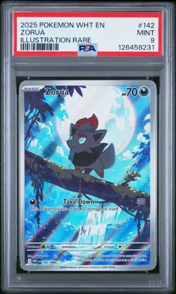 2025 POKEMON WHT EN-WHITE FLARE ILLUSTRATION RARE #142 ZORUA PSA 9 - Image 1