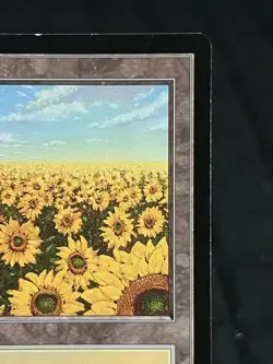 Magic the Gathering Plains - Red Pack (Spears) Apac Lands Regular ~LP~ MTG - Image 4