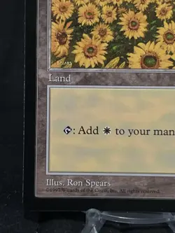 Magic the Gathering Plains - Red Pack (Spears) Apac Lands Regular ~LP~ MTG - Image 5