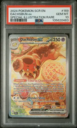 2024 Pokemon Dachsbun EX Special Illustration Rare 169/142 Stellar Crown PSA 10 - Image 2