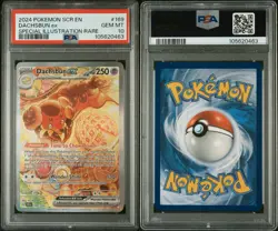 2024 Pokemon Dachsbun EX Special Illustration Rare 169/142 Stellar Crown PSA 10 - Image 4