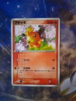 Torchic - 004/ADV-P 004/ADV-P ADV-P Promotional cards Regular (Japanese) - Image 1