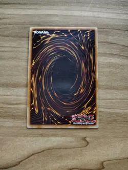 Yu-Gi-Oh! - D.D. Warrior Lady - Super Rare / Holo - DCR-027 - Image 2