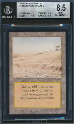 Arabian Nights Elephant Graveyard BGS 8.5 Graded Magic MTG (2021) - Image 1