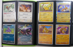 Pokemon 151 Master Deck/Set Complete Set all 165 cards sv2a - Image 4