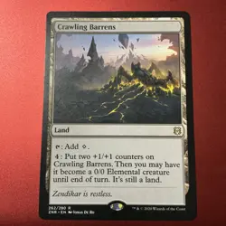 Magic: the Gathering: MTG ZENDIKAR RISING CRAWLING BARRENS Regular LP - Image 1