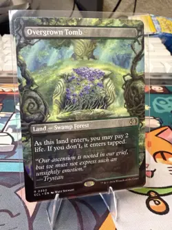 Overgrown Tomb (Borderless) Lorwyn Eclipsed Regular - Image 1