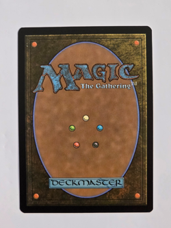 Flashback - R0333 Foil Extended Art - Secrets of Strixhaven - MTG - NM - Image 2