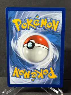 Pokemon Groudon 017/025 Holo Celebrations 25th Anniversary Near Mint - Image 2