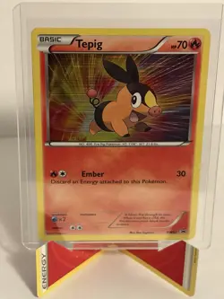 Black & White Tepig Promo BW02 Basic Holo Rare HP 70 Pokemon TCG - Image 1