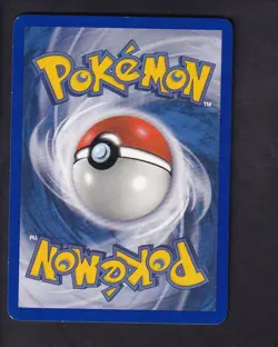 Zigzagoon 7/10 EX Trainer Kit Latios Pokemon Near Mint - Image 2