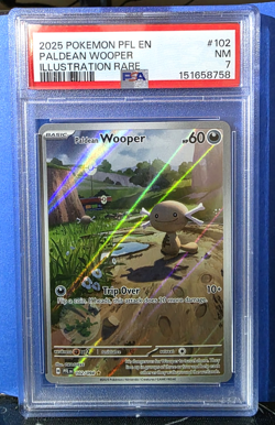 PSA 7 Paldean Wooper Illustration Rare #102 Mint 2025 Pokemon Phantasmal Flames - Image 3