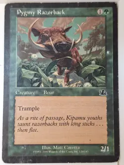 Pygmy Razorback - Prophecy - Magic the Gathering MTG Nice! - Image 1
