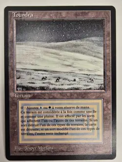 Tundra French FBB Foreign Black Bordered Dual Land MtG Magic Reserved List NM - Image 1