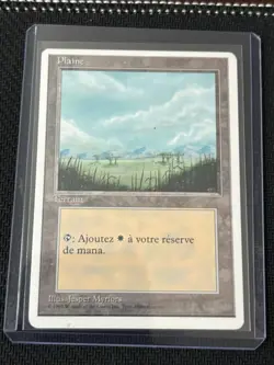 MTG - French Language Revised Plains - Image 1
