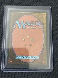 MTG - French Language Revised Plains - Image 2