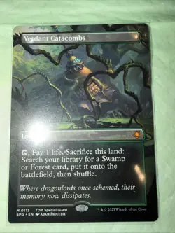 Verdant Catacombs (Borderless) EN [SPG - 113] - NEW MINT - Image 1