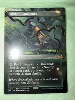 Verdant Catacombs (Borderless) EN [SPG - 113] - NEW MINT - Image 5