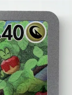 APPLIN 077/066 ART RARE CRIMSON HAZE POKEMON JAPANESE NEAR MINT - Image 4