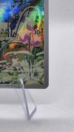 Charmander 044 Sv: Scarlet & Violet Promo Cards Holo - Image 5