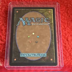 Wizards of the Coast Evendo, Waking Haven Land 0253 2025 English Foil - Image 2