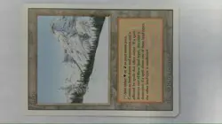 MTG Taiga Revised Edition Lp/Nm - Image 1