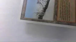MTG Taiga Revised Edition Lp/Nm - Image 3