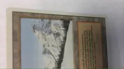 MTG Taiga Revised Edition Lp/Nm - Image 4
