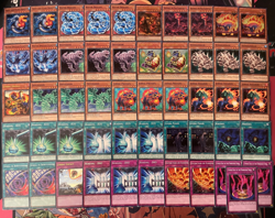 YUGIOH - WATER DRAGON DINOSAUR DECK - JURRAC MEGALO, STEGO, CLUSTER, DOGORAN - Image 1