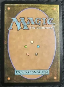 MTG *Canyon Slough Extended Art Surge Foil X1* (LP) Fallout Magic The Gathering - Image 2