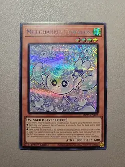 YuGiOh Mulcharmy Fuwalos MP25-EN102 1st Edition Prismatic Secret Rare Mint - Image 1