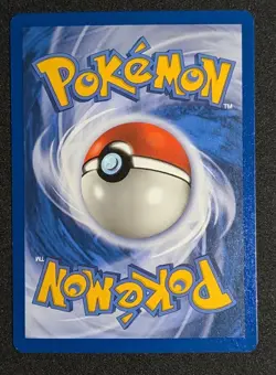 Piloswine H22/H32 Skyridge Pokemon Holo Rare LP (see photos!) - Image 2