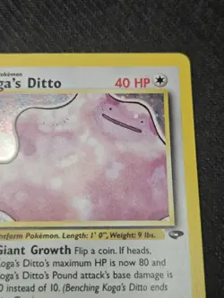 Koga's Ditto 10/132 - Gym Challenge - Pokemon Card TCG Holo LP - Image 3