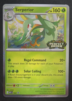 ME3 Perfect Order: Serperior MEP 064 Black Star Promo - Image 1