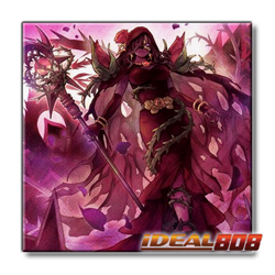 PRE-SALE YUGIOH x1 DOOD-EN040 RAGE ROSE WITCH - ULTRA RARE 1st EDITION - Image 1