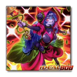 PRE-SALE YUGIOH x3 DOOD-EN004 VENGEFUL WITCH - SUPER RARE 1st EDITION - Image 1