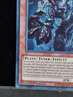 Princess Dracaena, The Thirsting Tree Secret Rare 1st Ed Yu-Gi-Oh BLZD-EN027 - Image 5