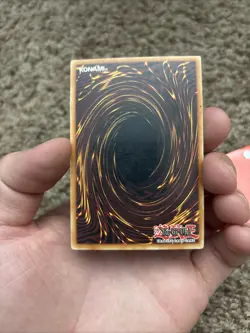 2009 Yu-Gi-Oh! Exclusives Blackwing Elphin the Raven Secret Rare #CT06-ENS01 - Image 2