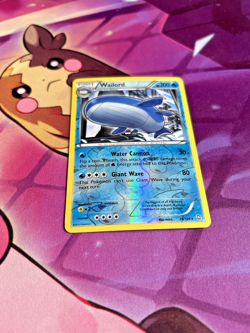 Wailord - 26/124 [Dragons Exalted] Pokemon TCG - REVERSE HOLO - RARE - NM - Image 3