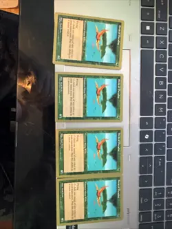 Birds of Paradise - 1998 Brian Selden (5ED) World Championship Decks Regular - Image 1