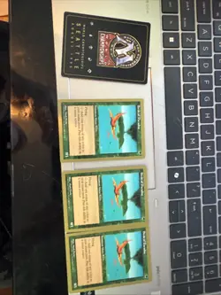 Birds of Paradise - 1998 Brian Selden (5ED) World Championship Decks Regular - Image 2