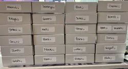 Brutal Budget Custom MTG Commander Decks + Bonus Booster, Die, & Token - Image 3