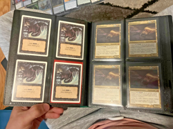 MASSIVE Magic the gathering collection from flea market, Unlimited, revised,LOOK - Image 5