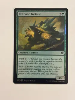Hexbane Tortoise Dominaria United Foil Magic the Gathering MTG - Image 1