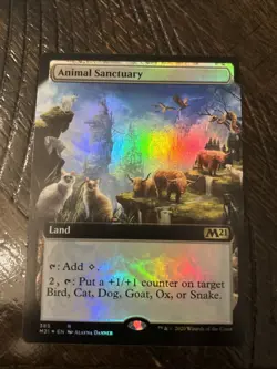 1x MTG Animal Sanctuary (Extended Art, Foil) - Core Set 2021 (M21) #385 - Magic - Image 1