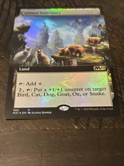 1x MTG Animal Sanctuary (Extended Art, Foil) - Core Set 2021 (M21) #385 - Magic - Image 2