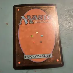 Magic The Gathering Forest Rainbow Foil #296 NM Illus: Jung Park - Image 2