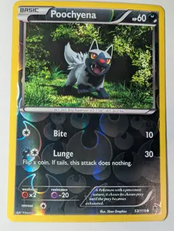 Poochyena 53/119 XY Phantom Forces Pokemon Foil Holo Nice! - Image 1