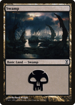 Swamp (293) #293 (Foil) (MP) Time Spiral TSP Magic MTG - Image 1