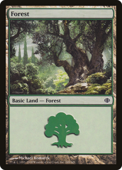 Forest (249) #249 (Foil) (MP) Shards of Alara ALA Magic MTG - Image 1